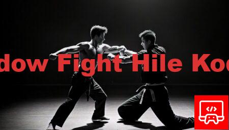 Shadow Fight Hile Kodları