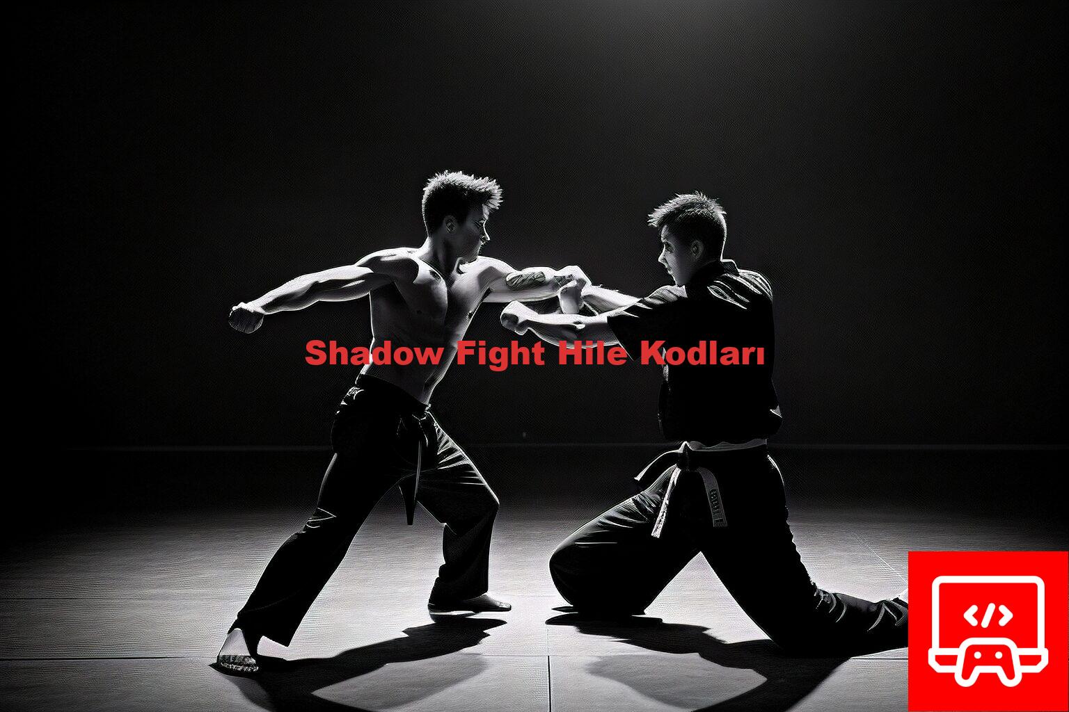 Shadow Fight Hile Kodları