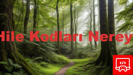 Orman Hile Kodları Nereye Yazılır