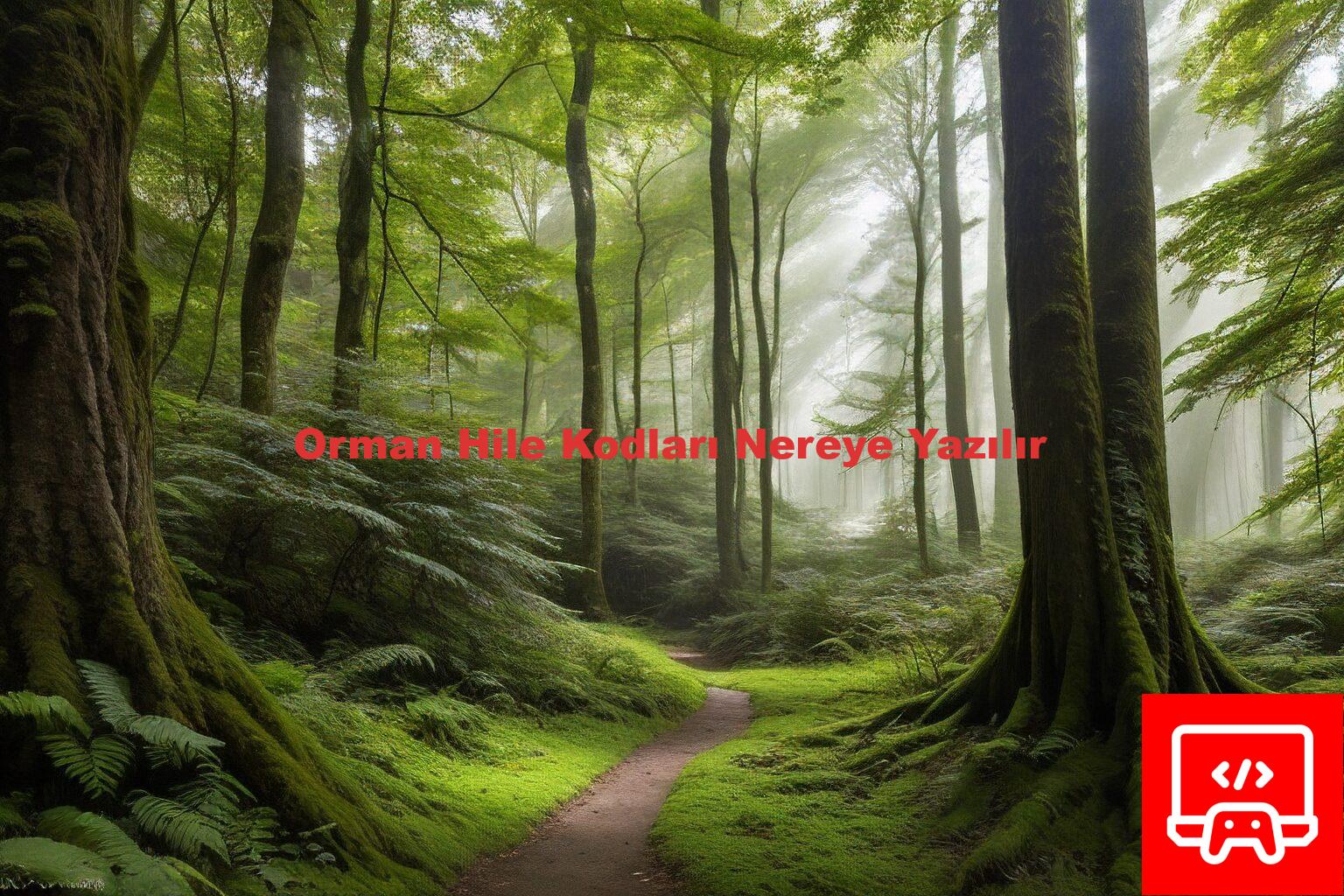 Orman Hile Kodları Nereye Yazılır
