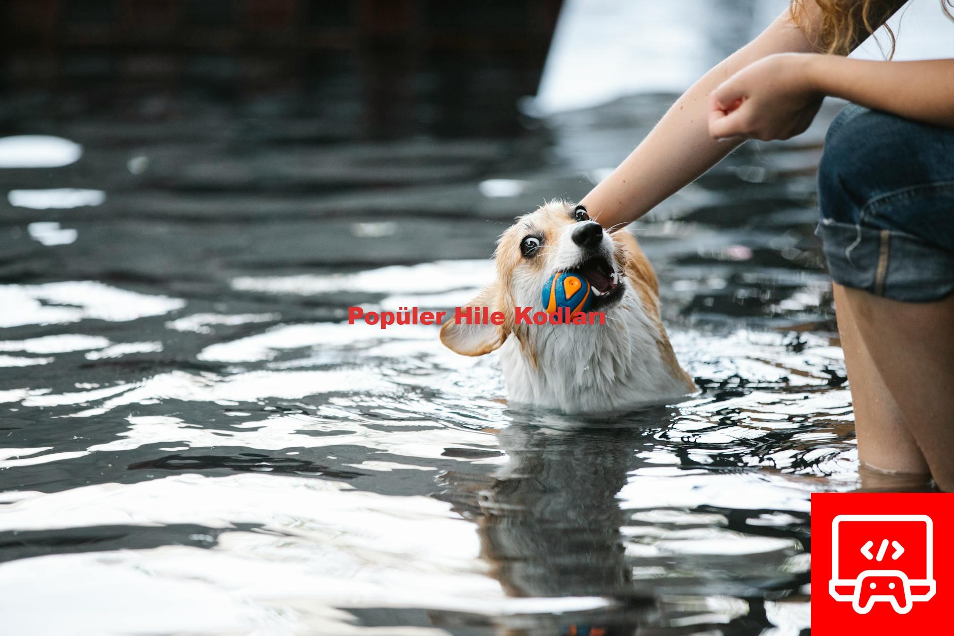 Popüler Hile Kodları