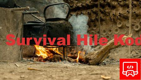 Ark Survival Hile Kodları
