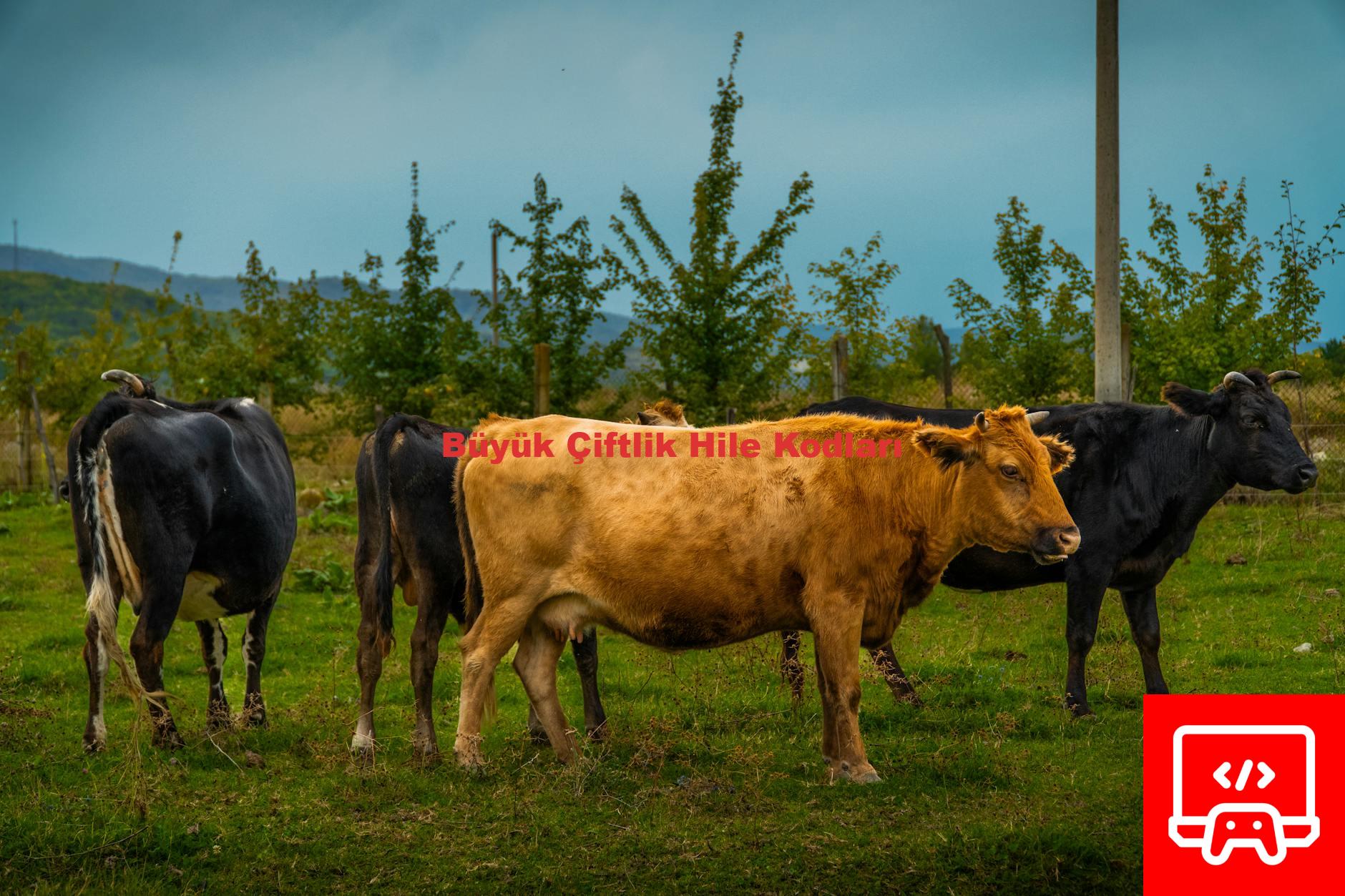 Büyük Çiftlik Hile Kodları