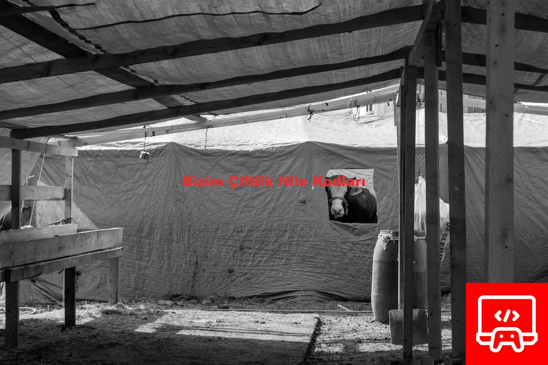 Bizim Çiftlik Hile Kodları