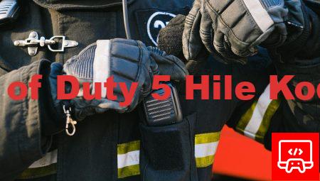 Call of Duty 5 Hile Kodları