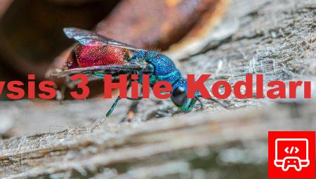 Crysis 3 Hile Kodları PC
