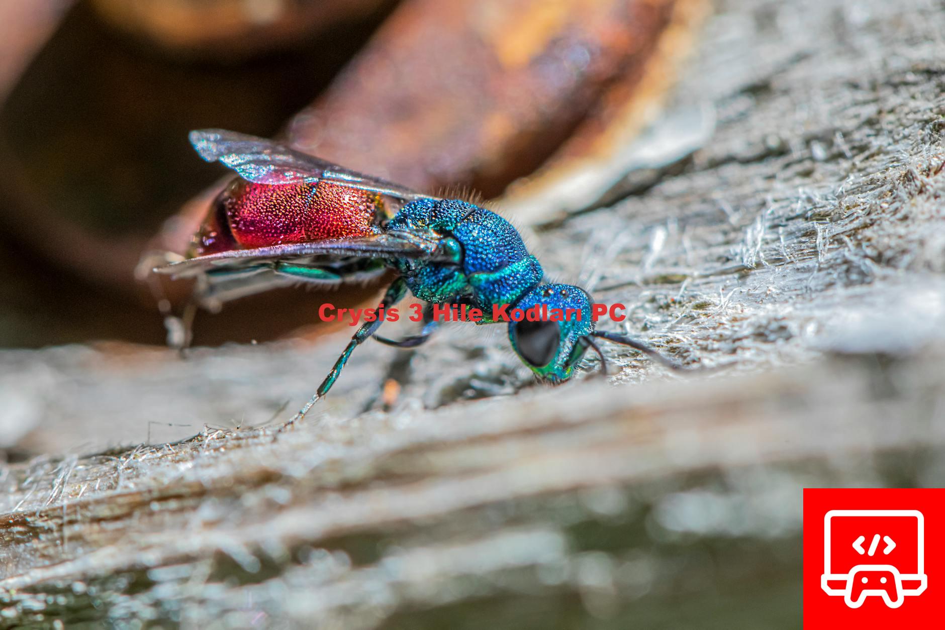 Crysis 3 Hile Kodları PC