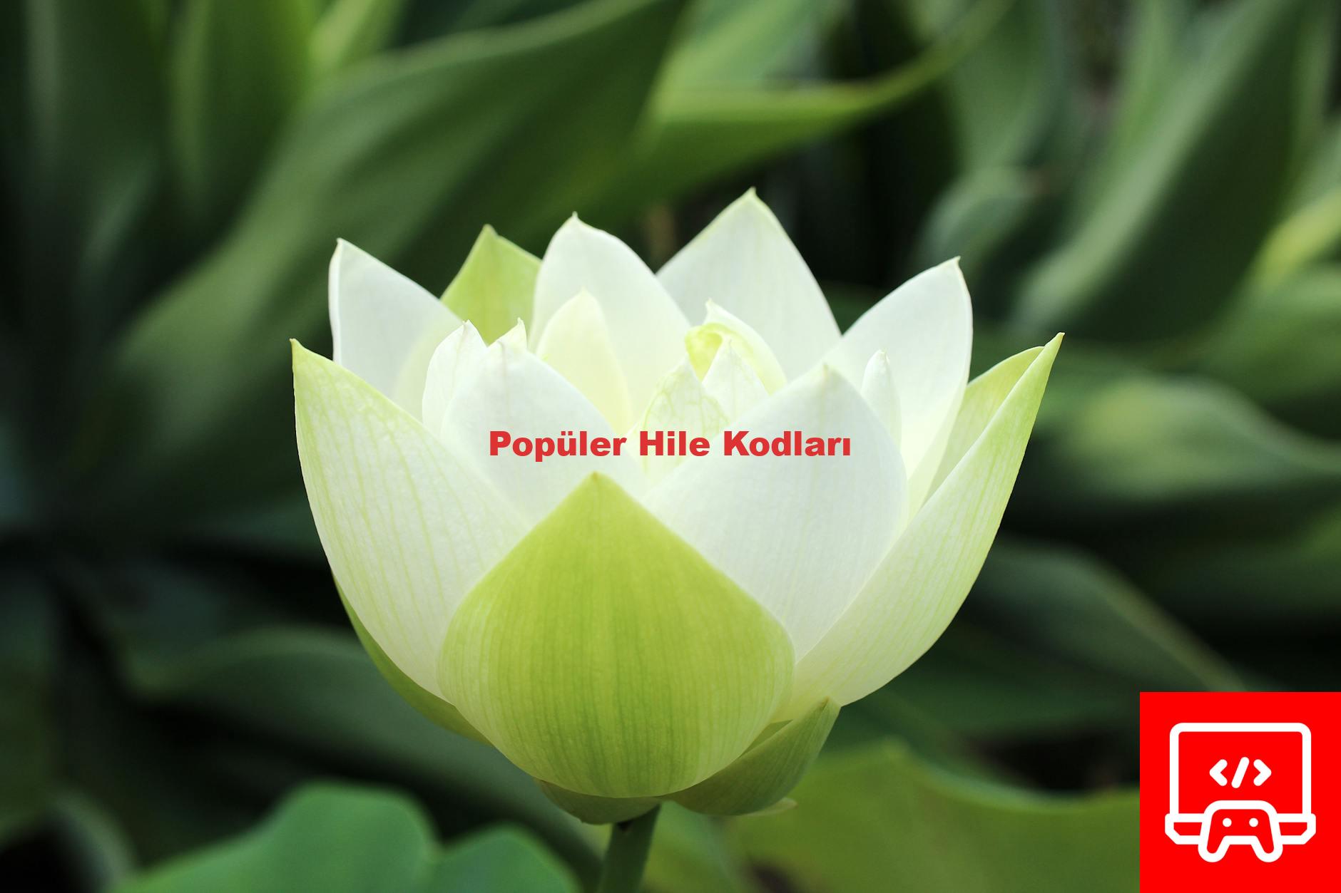 Popüler Hile Kodları