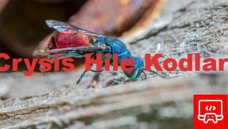 Crysis Hile Kodları