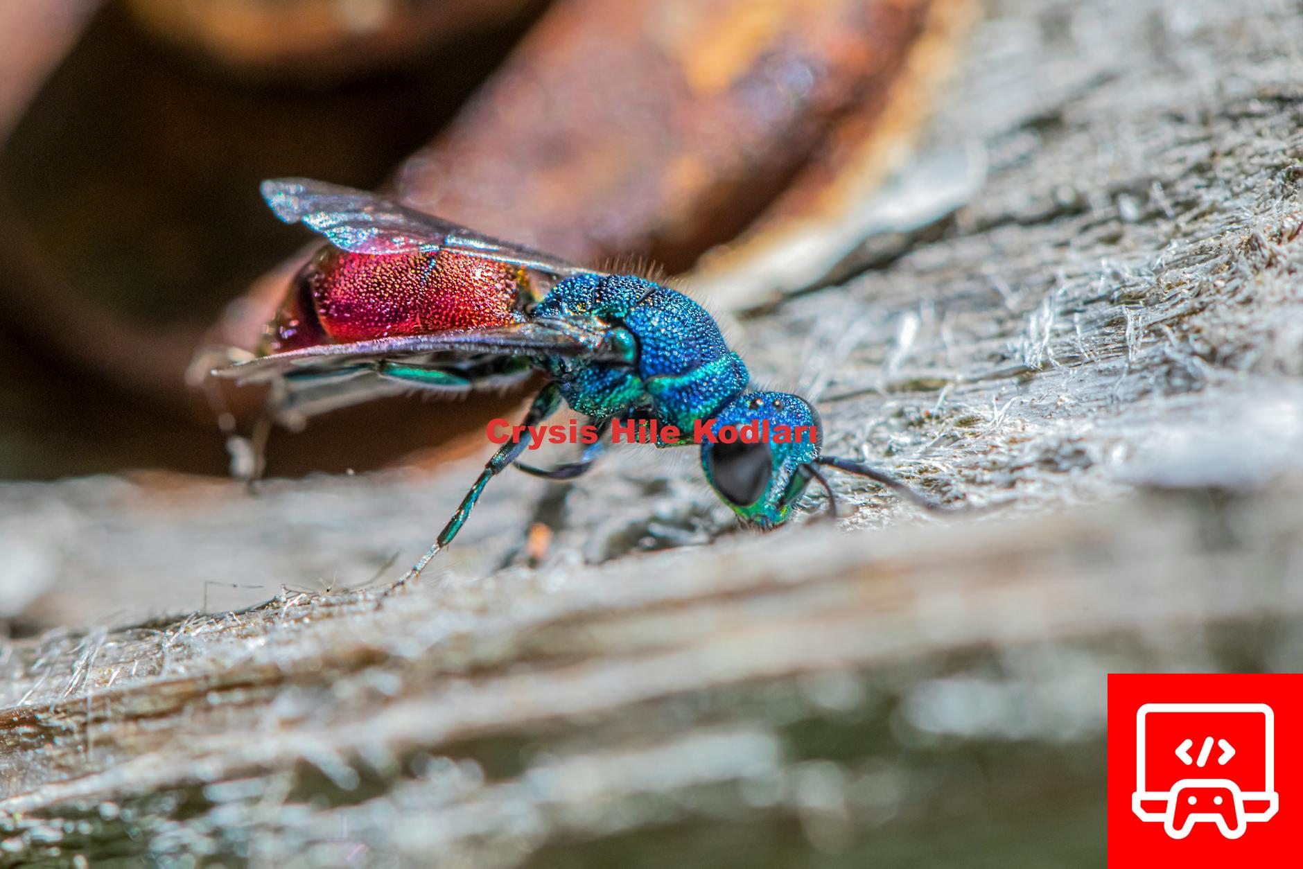 Crysis Hile Kodları