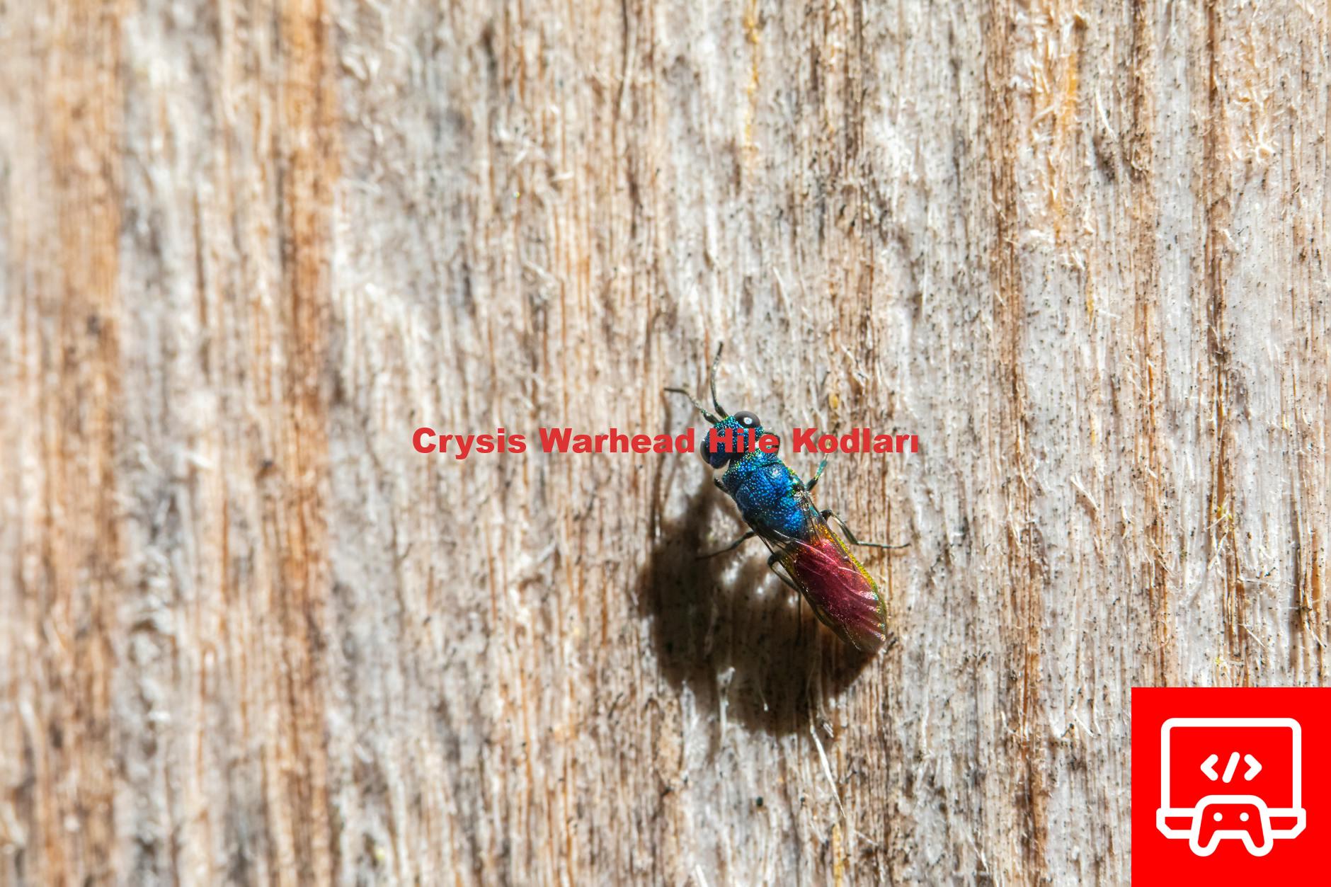 Crysis Warhead Hile Kodları