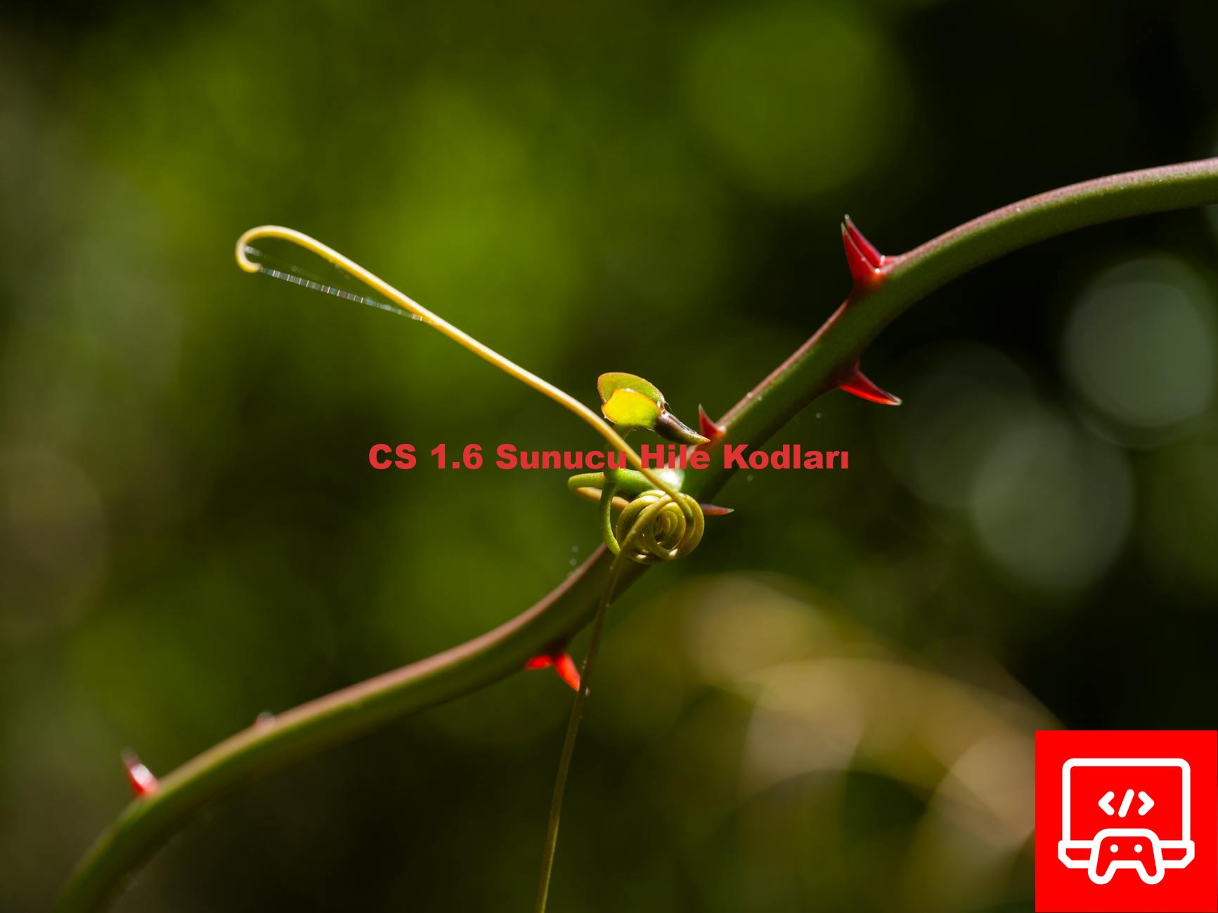 CS 1.6 Sunucu Hile Kodları