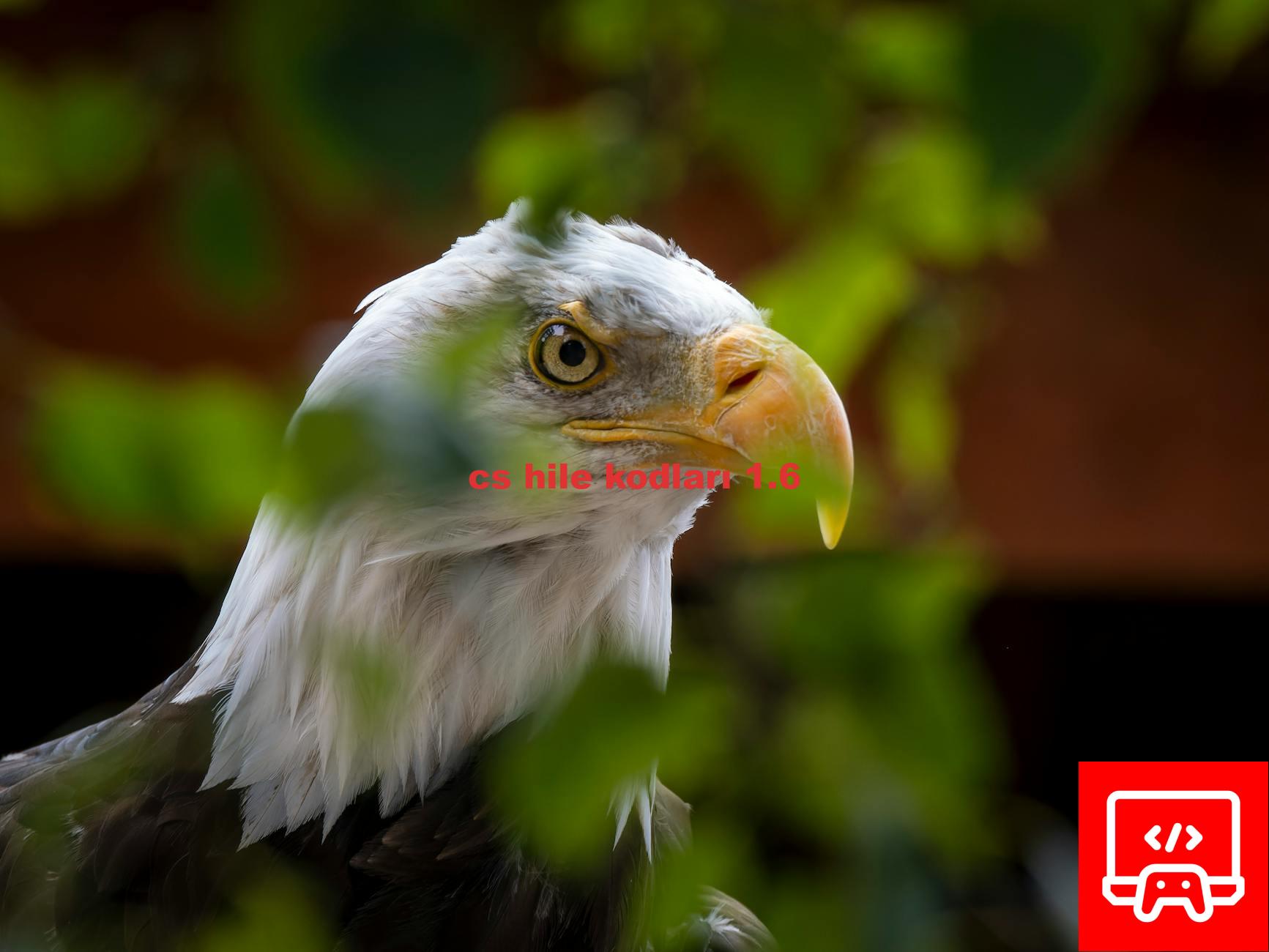cs hile kodları 1.6
