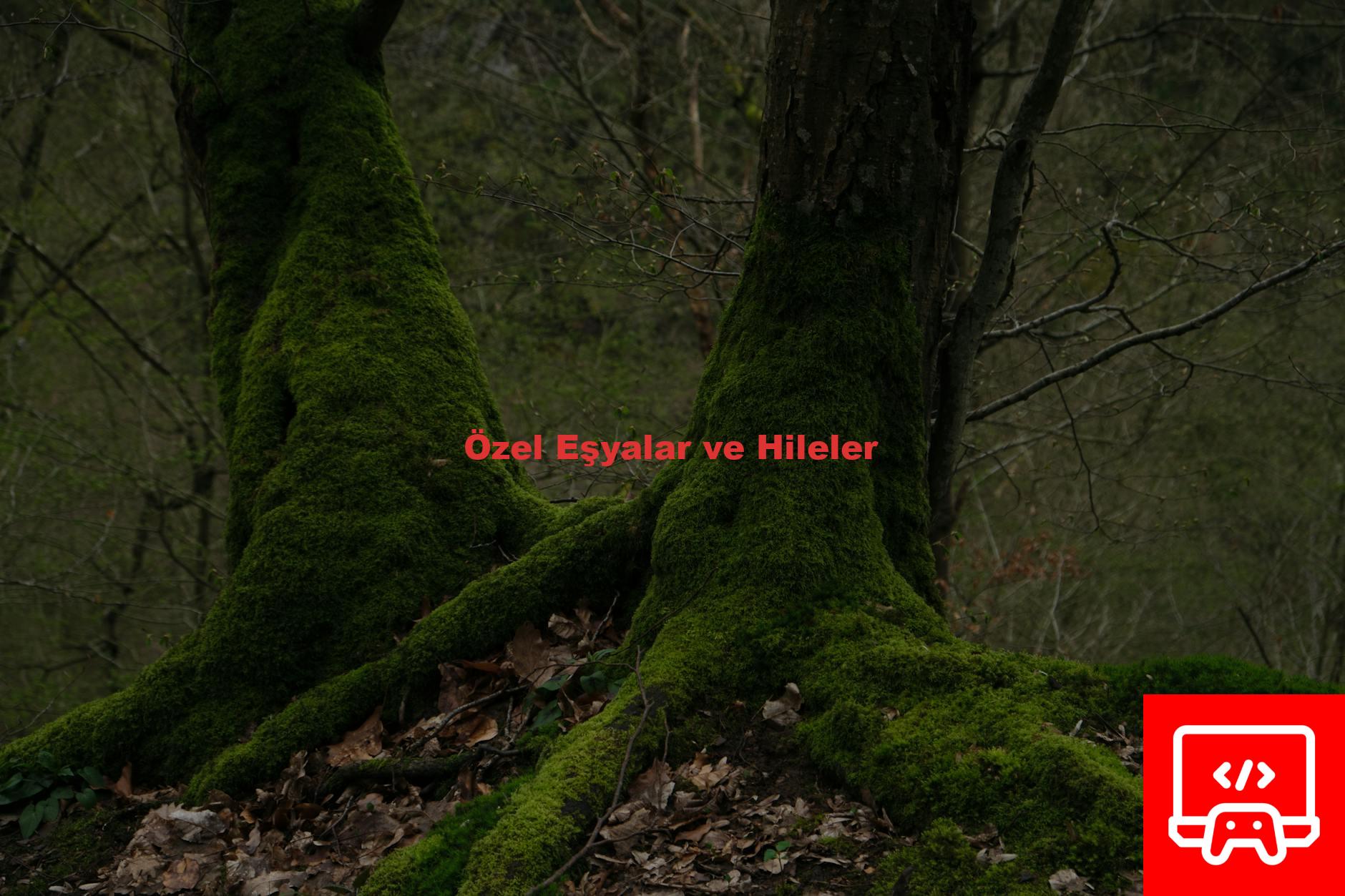 Özel Eşyalar ve Hileler