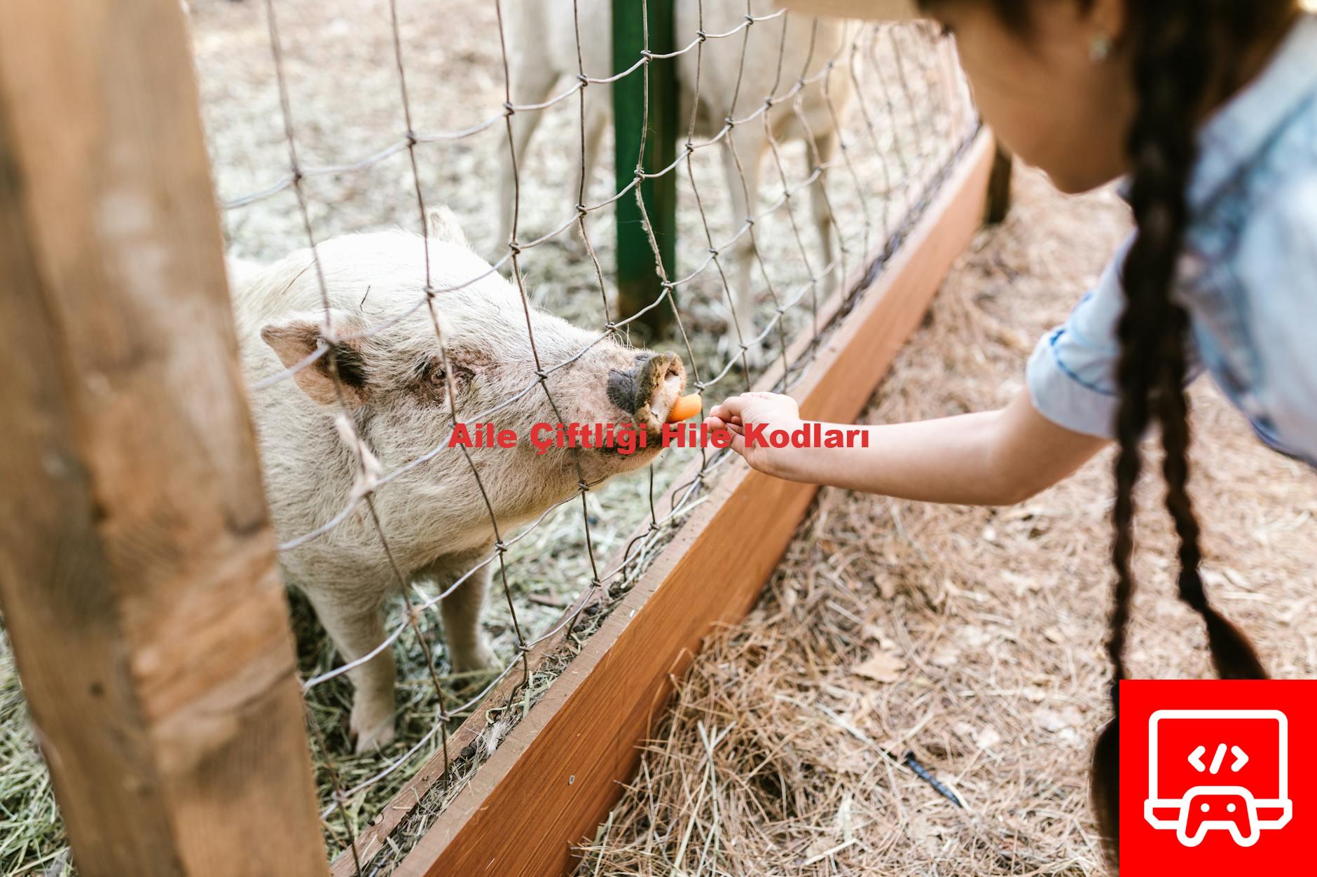 Aile Çiftliği Hile Kodları