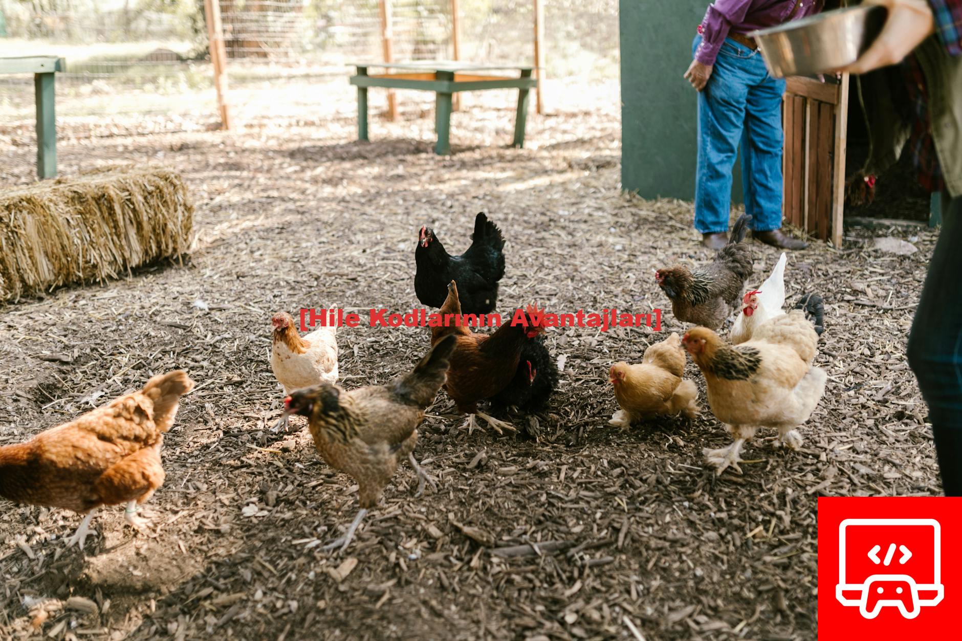 [Hile Kodlarının Avantajları]