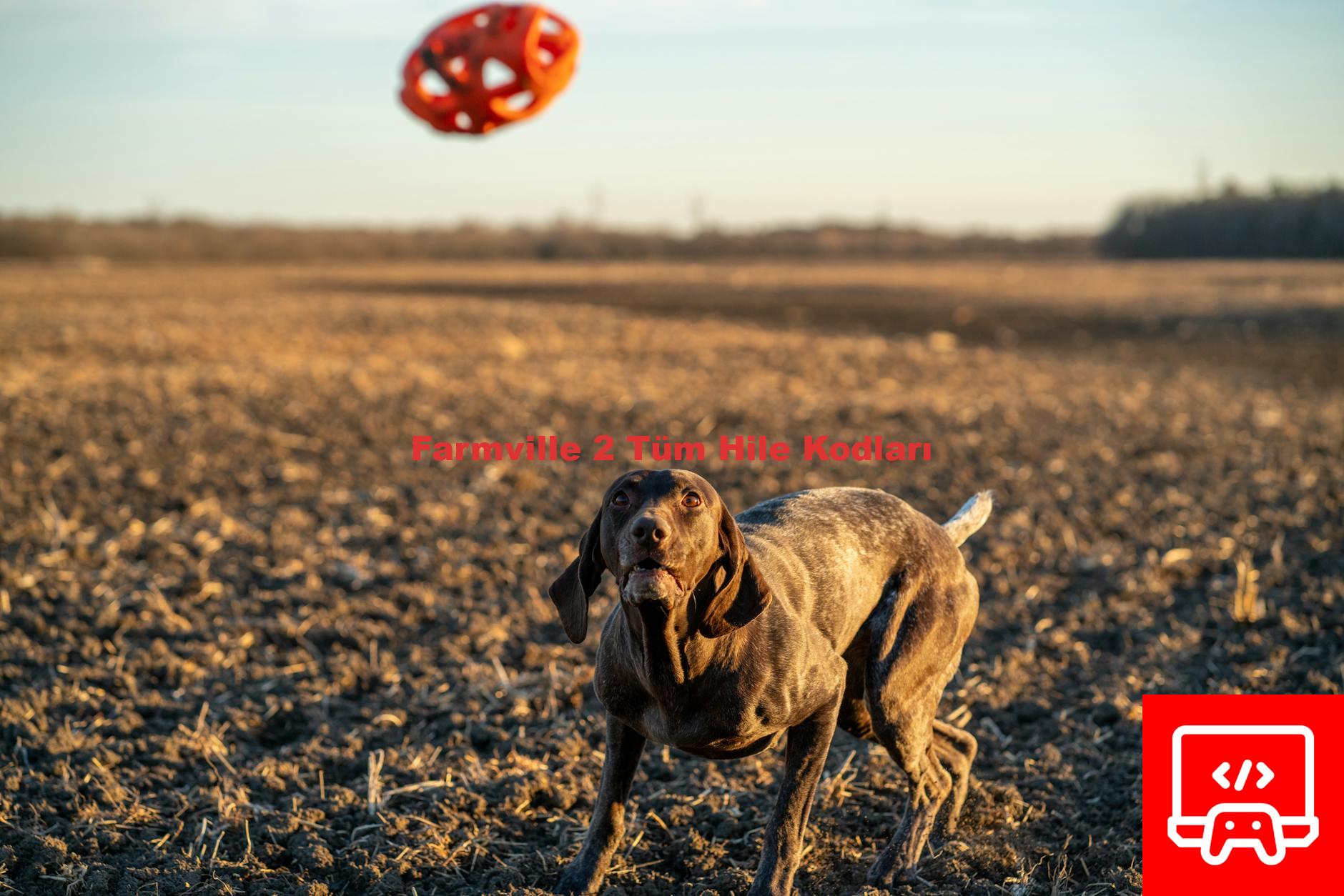 Farmville 2 Tüm Hile Kodları