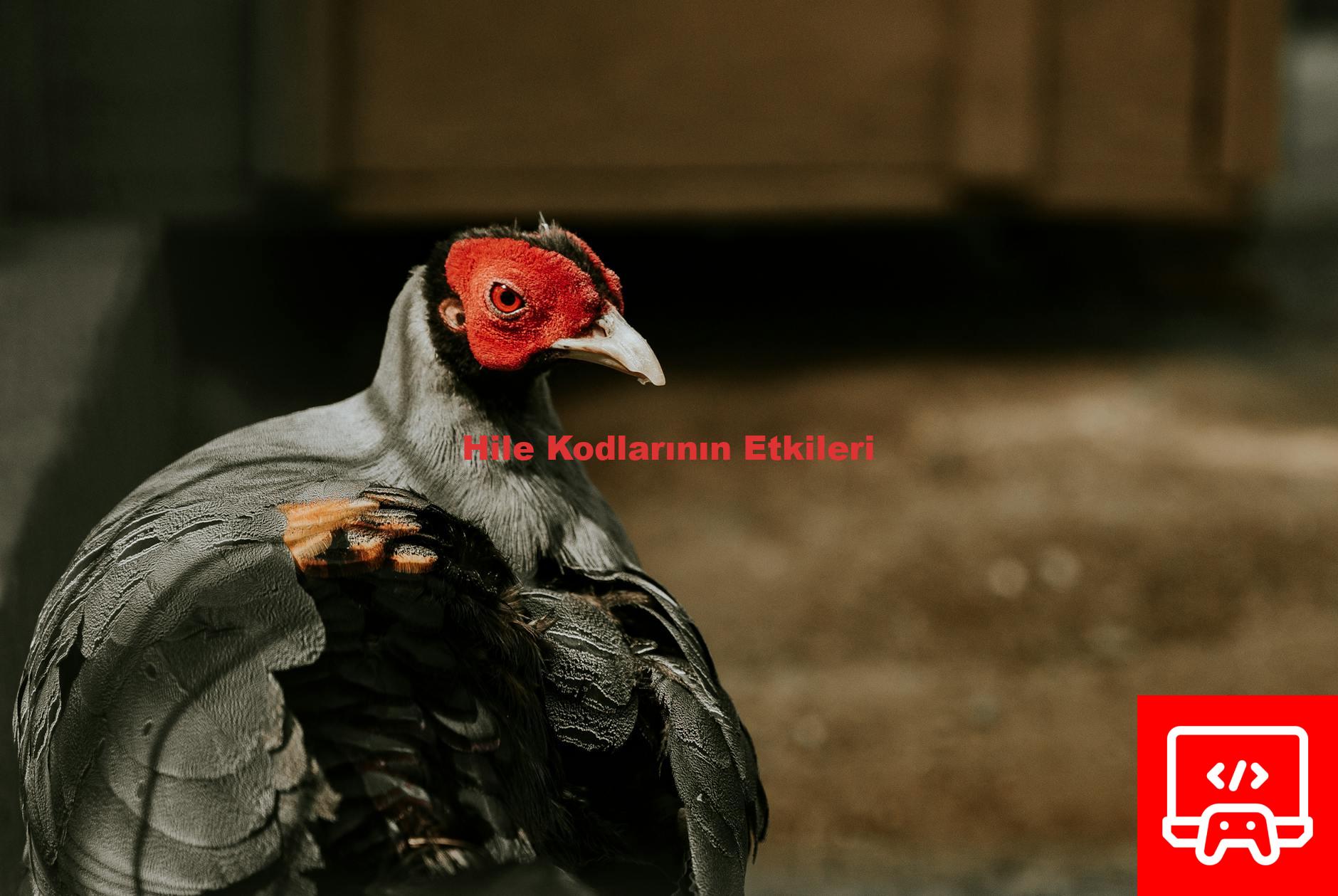 Hile Kodlarının Etkileri