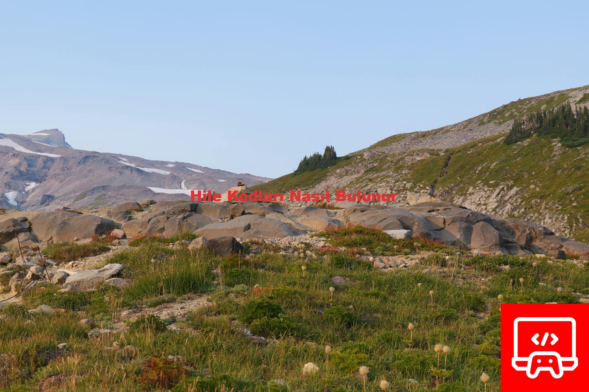 Hile Kodları Nasıl Bulunur