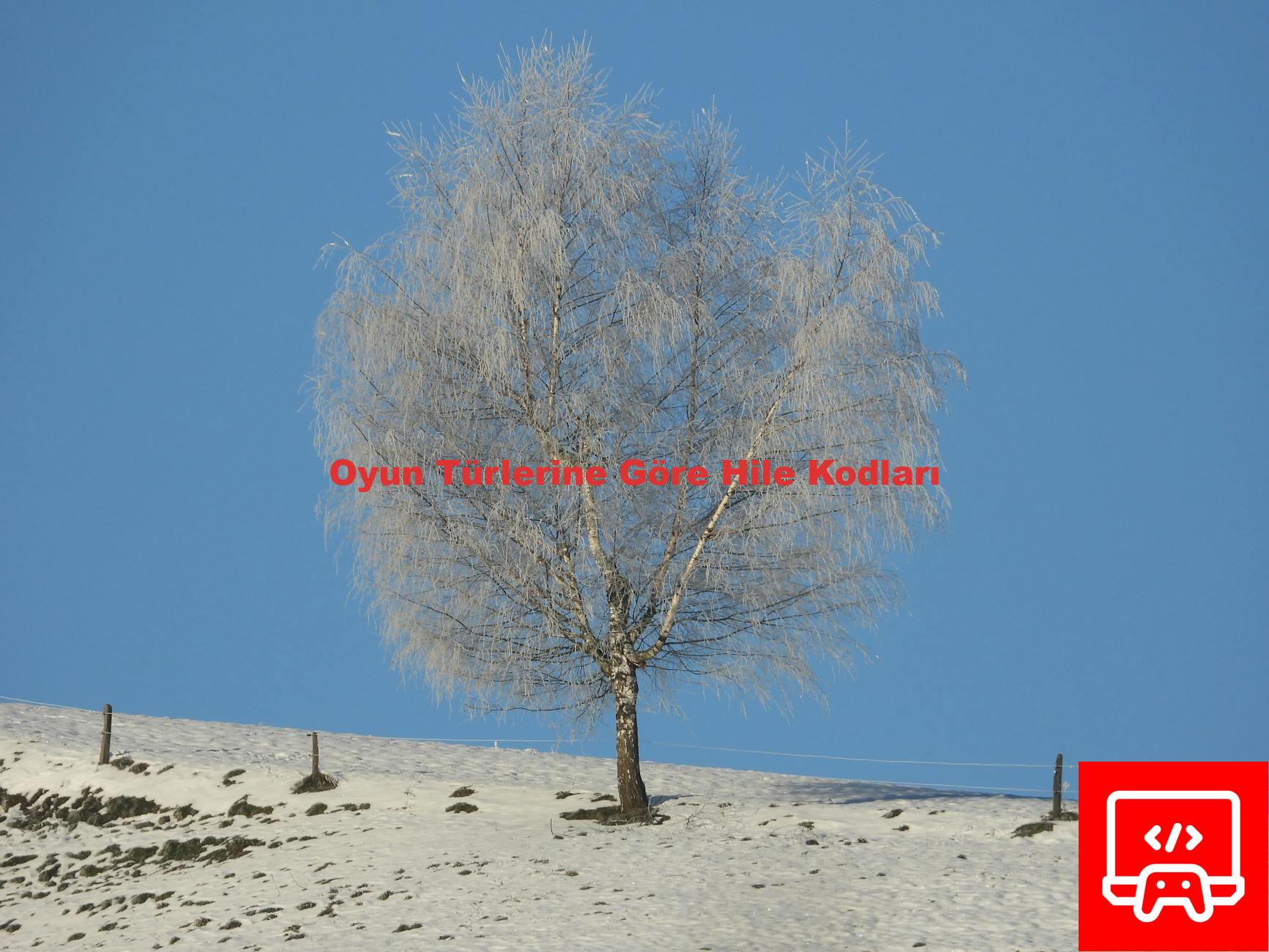 Oyun Türlerine Göre Hile Kodları