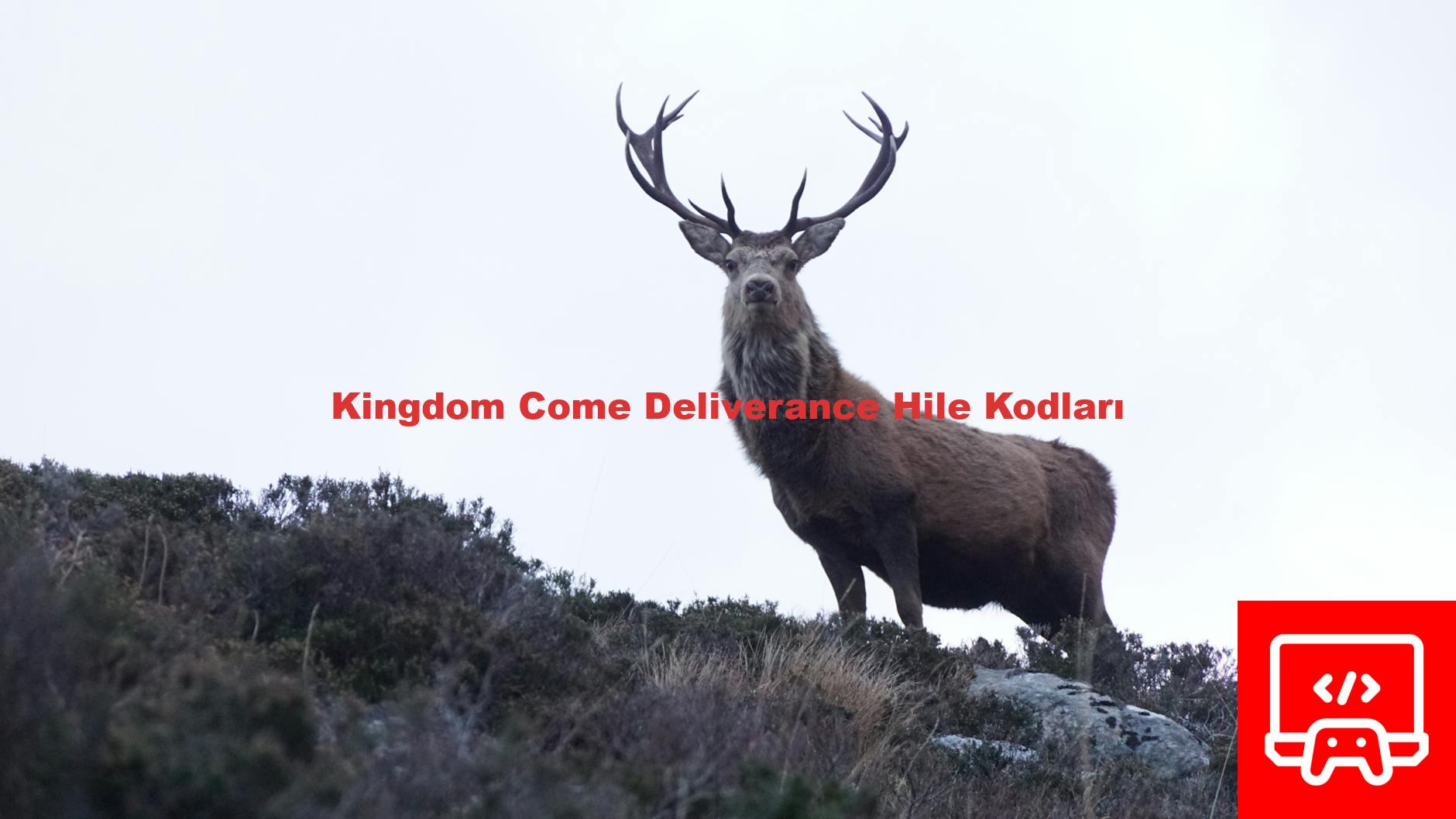 Kingdom Come Deliverance Hile Kodları