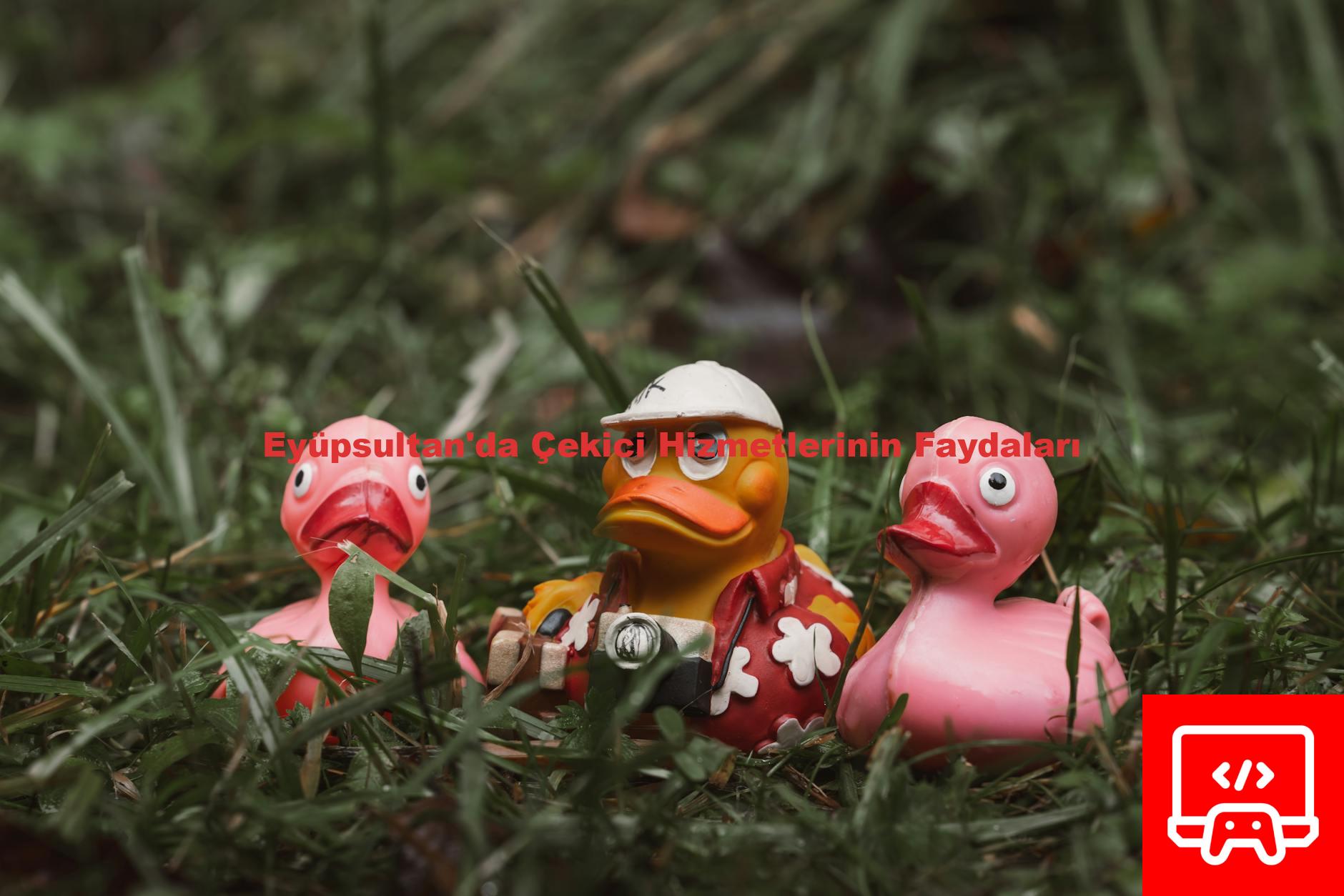 Eyüpsultan'da Çekici Hizmetlerinin Faydaları