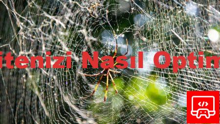 VDS ile Web Sitenizi Nasıl Optimize Edersiniz?