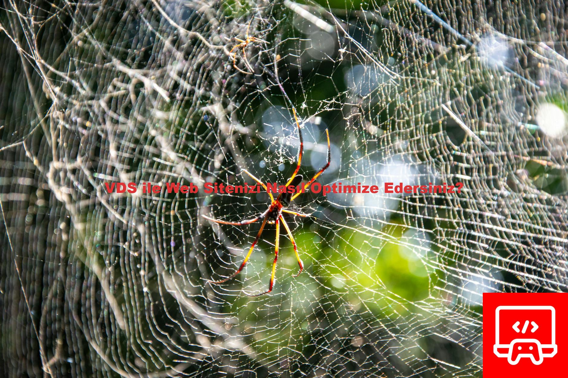 VDS ile Web Sitenizi Nasıl Optimize Edersiniz?