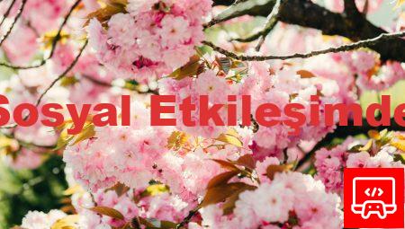 Almanca Günler: Sosyal Etkileşimde Yeni Yaklaşımlar