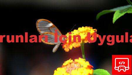 Oto Elektrik Sorunları İçin Uygulamalı Çözümler