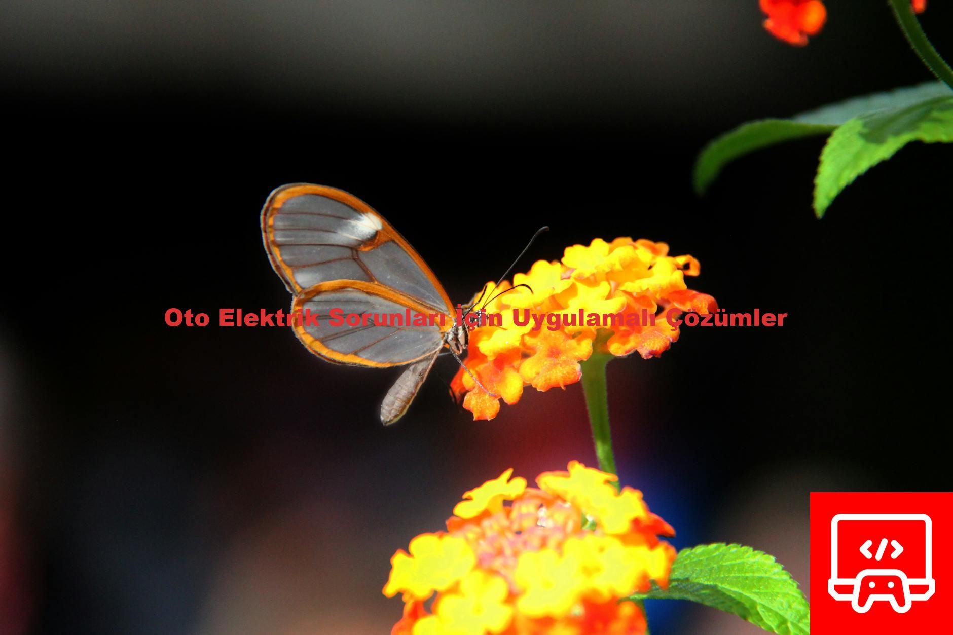 Oto Elektrik Sorunları İçin Uygulamalı Çözümler