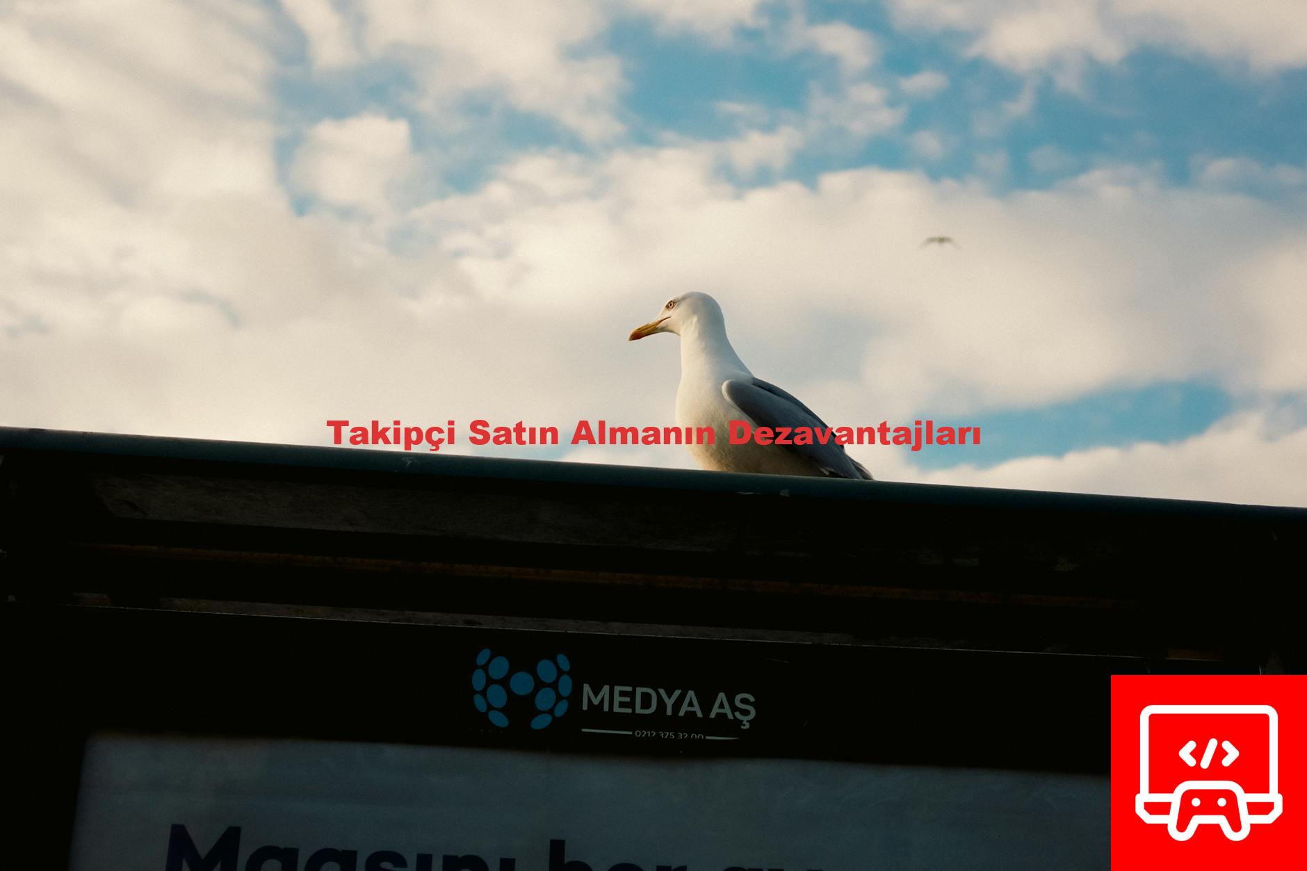 Takipçi Satın Almanın Dezavantajları