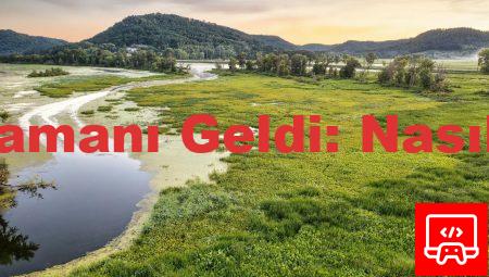 Tavsiye Almanın Zamanı Geldi: Nasıl Başlayabilirsiniz?