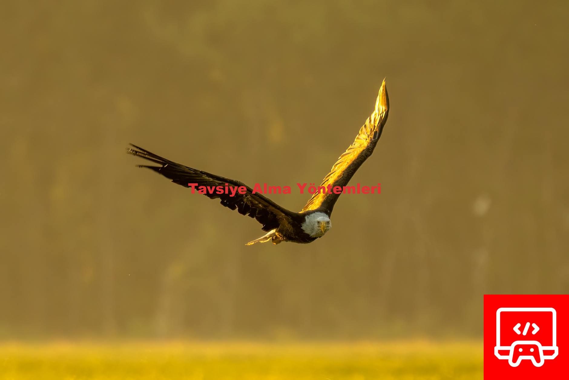 Tavsiye Alma Yöntemleri