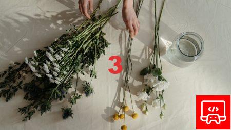 Aksaray Çiçeklerinin Özellikleri ve Bakım İpuçları