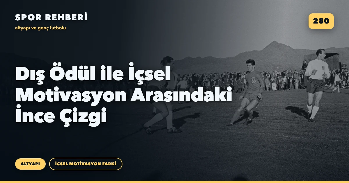 Dış Ödül ile İçsel Motivasyon Arasındaki İnce Çizgi